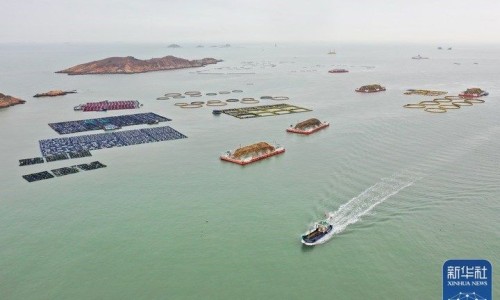 烧伤瘢痕点阵激光效果怎样网 :分享烧伤后激光治疗恢复过程-烧伤瘢痕点阵激光效果怎样知识